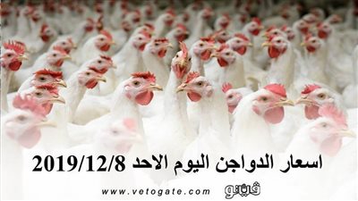 اسعار الدواجن اليوم الأحد 2019/12/8