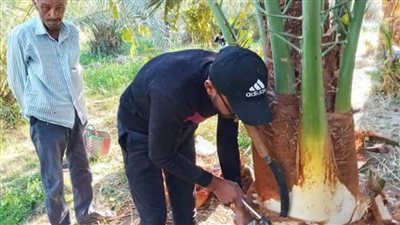 10 إجراءات اتخذتها 