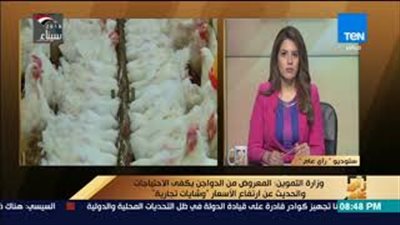 «التموين» تكشف حقيقة اختفاء الدواجن المجمدة من السوق (فيديو)