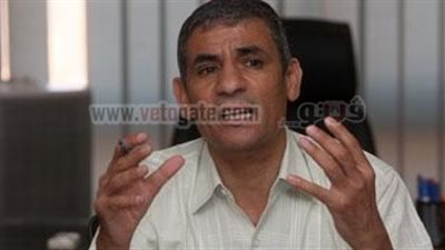 داوود: حكم القضاء الإداري فرصة للانتهاء من الدستور