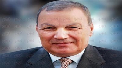 محافظ الغربية يستبعد رئيس مدينة المحلة