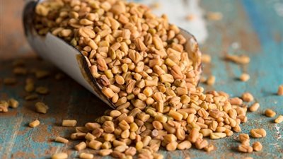 فوائد تناول الحلبة في العيد