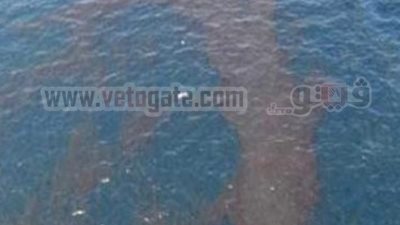 المياه تعود إلى السباعية والبصيلية بادفو..و