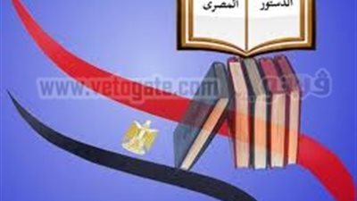 عضو بالتأسيسية: الاستفتاء على الدستور يلغى أحكام القضاء