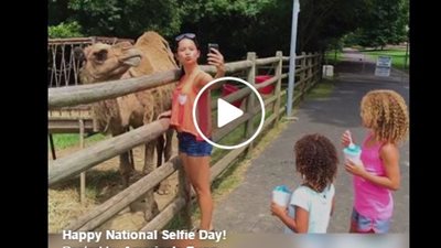 بالفيديو.. «سيلفي» يضع أشخاصا في مواقف محرجة