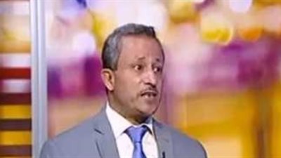 مغاوري: تخوفات من اعتماد الصندوق السيادي على بيع شركات قطاع الأعمال