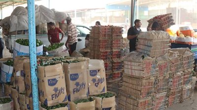 «تموين المنيا»: حملات مكثفة على تجار الجملة طوال أيام عيد الفطر