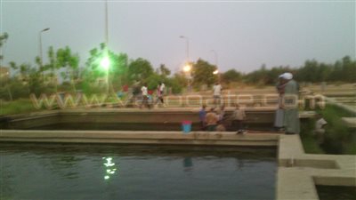 بالصور.. إطلاق المرحلة الأولى لـ «زريعة السمك البلطي» في بحيرة ناصر