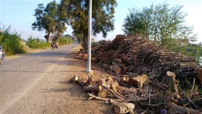 إحالة مسئولي الإنارة والبيئة بالشرقية للتحقيق