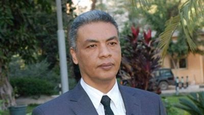 خبير استراتيجي: الصحف العالمية أشادت بمشروع قناة السويس