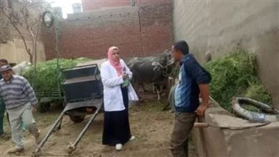 تحصين 139 ألف رأس ماشية فى الدقهلية