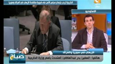 بالفيديو.. «الخارجية»: قرار مجلس الأمن بالتضييق على «داعش والنصرة» جاء متأخرا