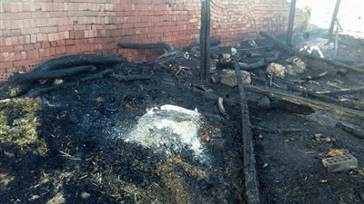 حريق يلتهم 3 مزارع ماشية في الغربية (صور)