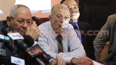 بالفيديو والصور.. الدسوقى: مصر لديها طاقة شمسية تغنيها عن استيراد الوقود