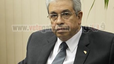 عبد المنعم السعيد: السلفيون يريدون 