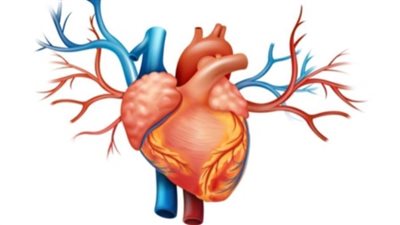 احذر.. التوتر والقلق يهددان صحة قلبك