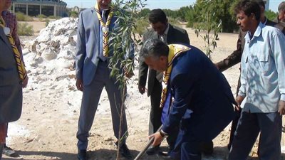 رئيس جامعة جنوب الوادي يغرس أول شجرة في المعسكر الثاني عشر (صور)