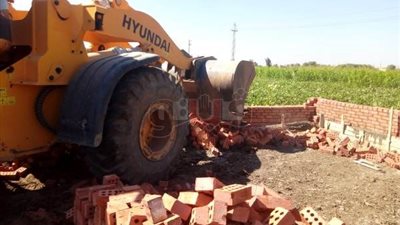 إزالة تعديات على أملاك الدولة والأراضي الزراعية في الشرقية (صور)