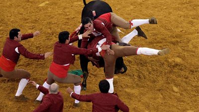 فرقة الانتحار البرتغالية تسيطر على ثور غاضب (فيديو وصور)