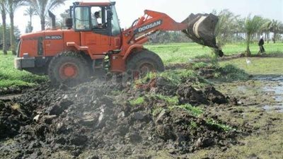 إزالة مشاتل أرز على مساحة 51 فدانًا في الشرقية (صور)