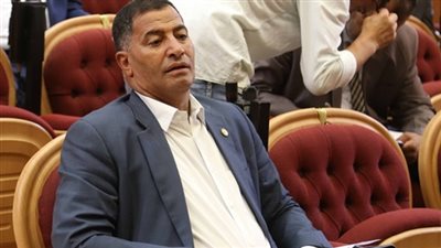 نائب: تقرير صندوق النقد عن مصر يؤكد صحة الإجراءات الاقتصادية