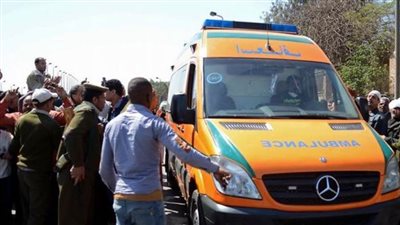 كشف لغز العثور على بقايا طفل نهشته الكلاب بالدقهلية