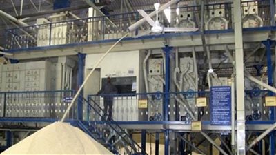 رجب شحاتة: مضارب الأرز تورد 95 ألف طن خلال 4 شهور