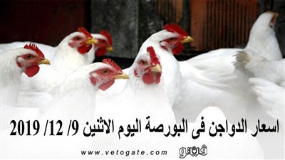 اسعار الدواجن فى البورصة اليوم الاثنين 9/ 12/ 2019
