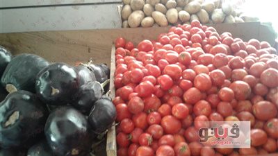 استقرار أسعار الخضراوات.. والبطاطس تسجل 4 جنيهات