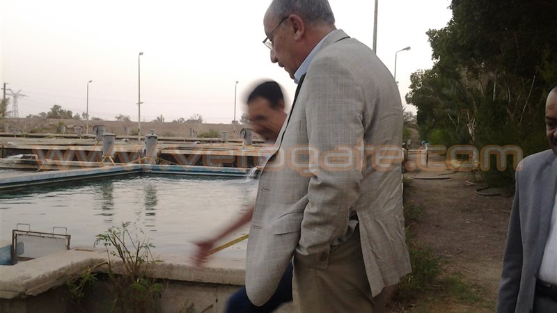 فيتو
