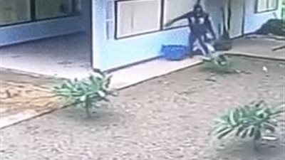 بالفيديو والصور.. غباء لص يضعه في موقف محرج