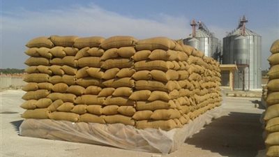 توريد 542 ألف طن قمح للصوامع والشون بالشرقية