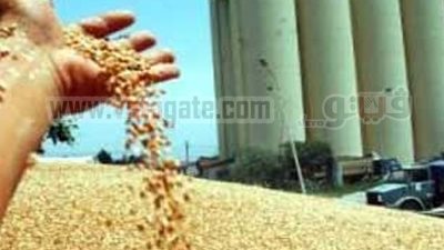 القاهرة تحتضن مؤتمراً دولياً لتكنولوجيا صناعة الحبوب