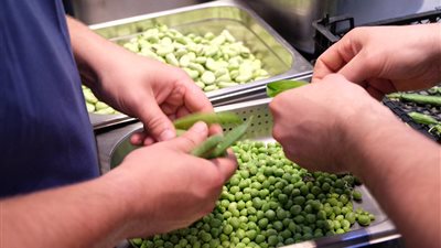 «اسبرجس وبازلاء وخرشوف» أشهر الأطعمة في زفاف هاري وميجان (صور)