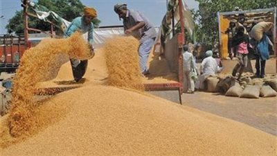 رئيس كفر الزيات يتابع توريد القمح للشون المركزية (صور)