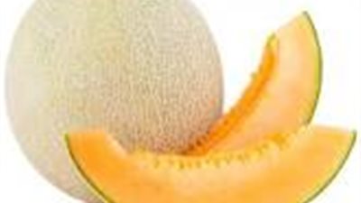 الشمام يقاوم السرطان ويرطب الجسم