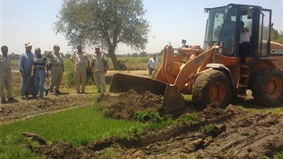 «الري» تحرق 16 مشتل أرز مخالف في طنطا (صور)