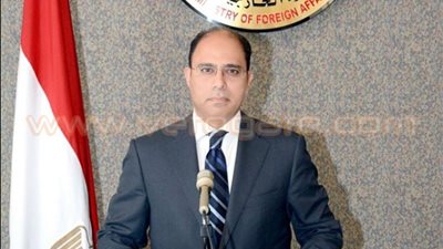 بالفيديو.. «الخارجية»: لا تفاوض مع جماعة إرهابية