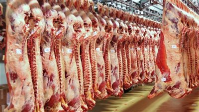 170 ألف طن حجم استهلاك المصريين من اللحوم والدواجن في رمضان