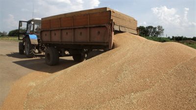 روسيا تقدم منحة بـ100 ألف طن قمح لنيكاراجوا