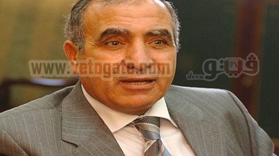 جهاز الإحصاء: 2,4 مليون مولود في 2011