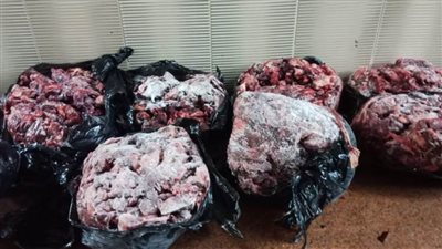 مصادرة 1.5 طن كبدة فاسدة داخل محل بالظاهر (صور)