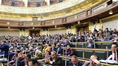 محافظ الوادي الجديد يشارك بجلسة مناقشة مطالب المحافظة بمجلس النواب