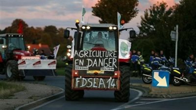 الدببة في جبال البيرينيه تثير غضب المزارعين الفرنسيين