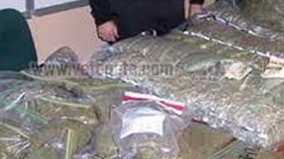 عاطل الشرقية سقط بـ 13 كيلو بانجو