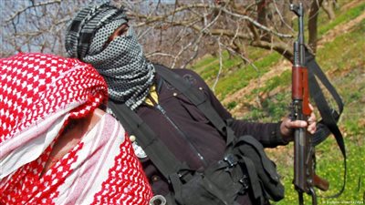 نصف الإسلاميين المسافرين من ألمانيا لمناطق النزاع يحملون الجنسية