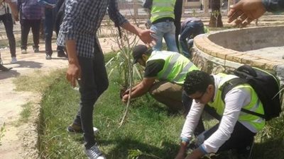 انطلاق مبادرة «ازرع شجرة» في أسوان