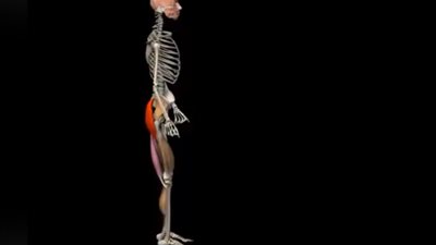 الطرق الصحيحة لحمل الأشياء دون إضرار الظهر (فيديو)