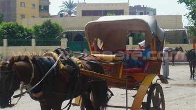 بالصور.. الركود يسيطر على نزلة السمان.. مشروع قناة السويس الأمل في عودة السياحة.. أصحاب الإسطبلات: «بقالنا شهر مابنشتغلش والزبون المصري على قده».. و«مظاهرات الإخوان السبب في وقف حالنا&#