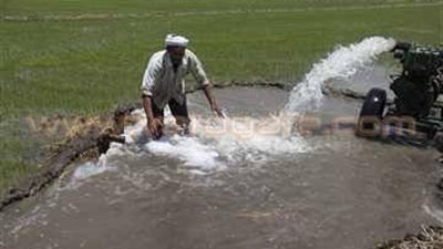 رسالة من مواطن إلى محافظ الجيزة